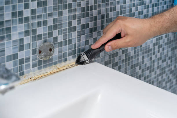 Best Basement Mold Remediation in Dobbs Ferry, NY