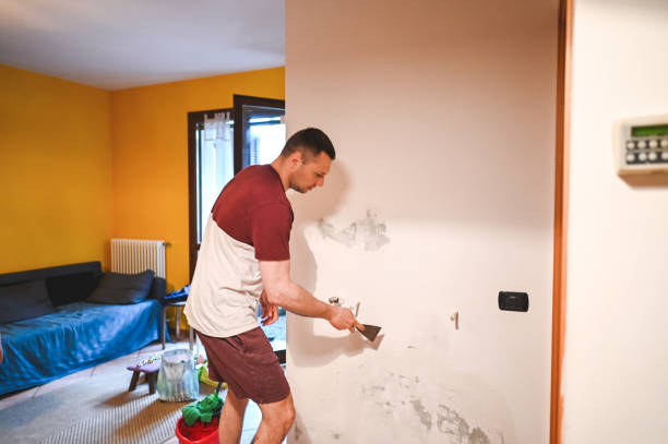 Best Emergency Mold Remediation in Dobbs Ferry, NY